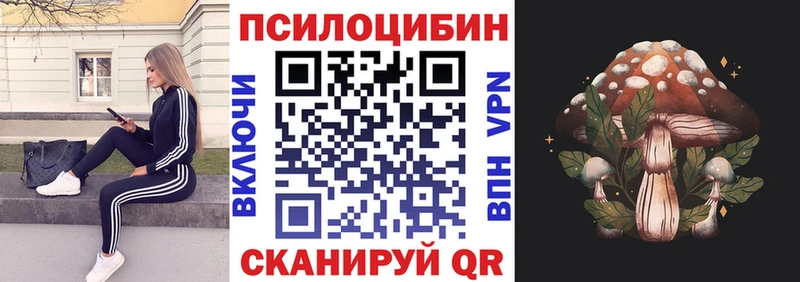 Псилоцибиновые грибы прущие грибы  дарк нет какой сайт  Медынь 